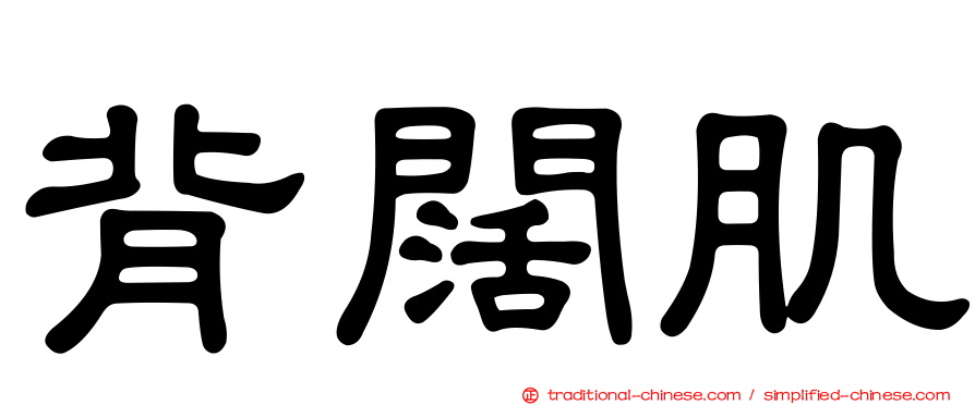 背闊肌
