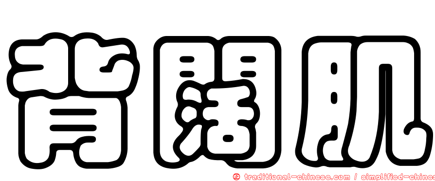 背闊肌