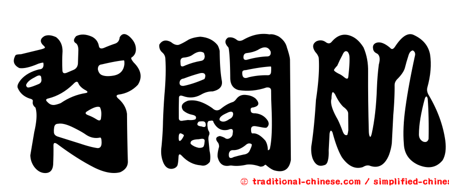 背闊肌