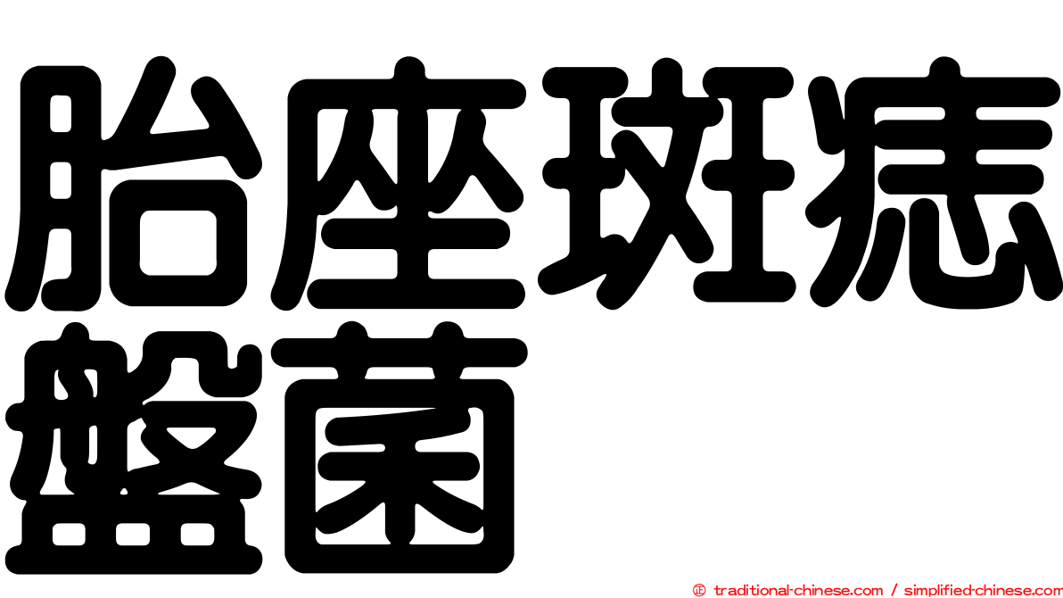 胎座斑痣盤菌