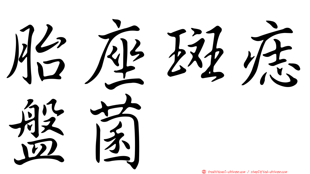 胎座斑痣盤菌
