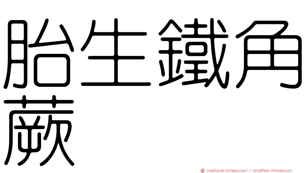 胎生鐵角蕨