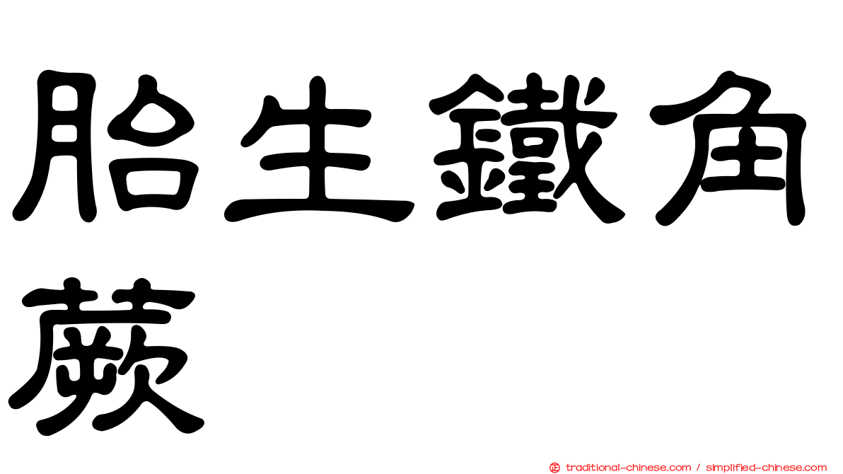 胎生鐵角蕨