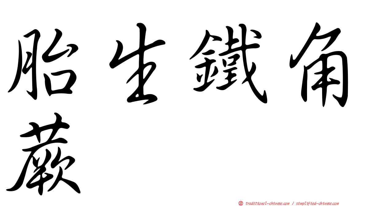 胎生鐵角蕨