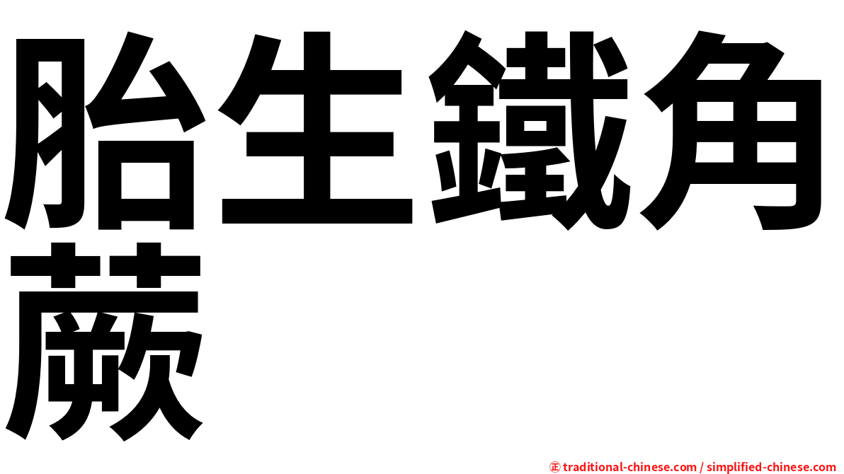 胎生鐵角蕨