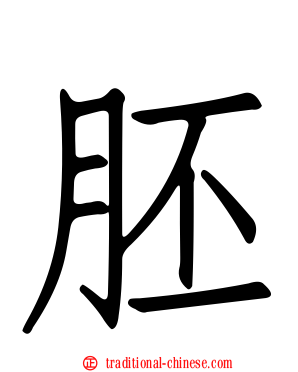胚