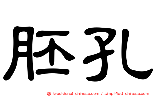 胚孔