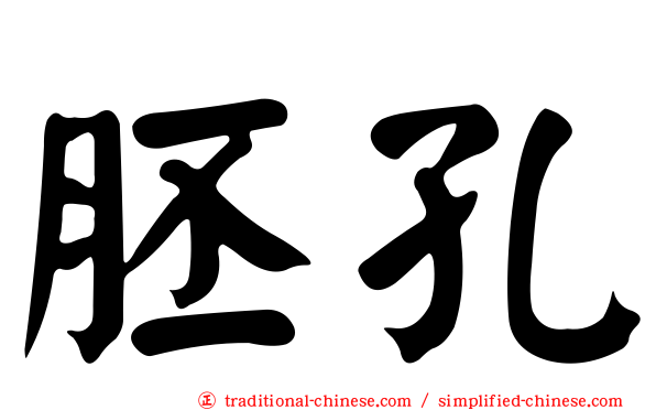 胚孔