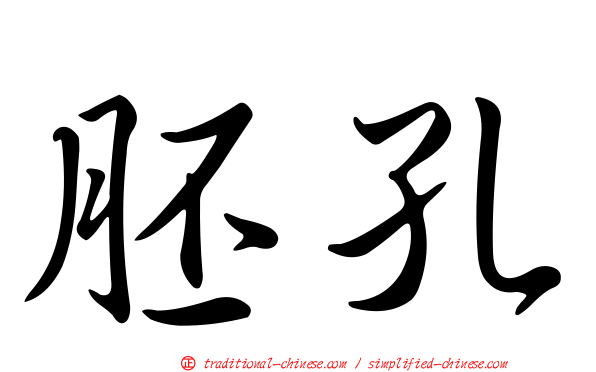 胚孔