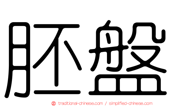 胚盤