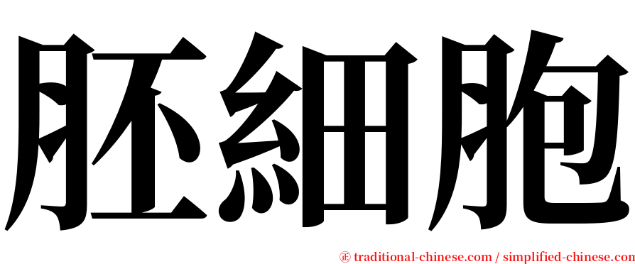 胚細胞 serif font