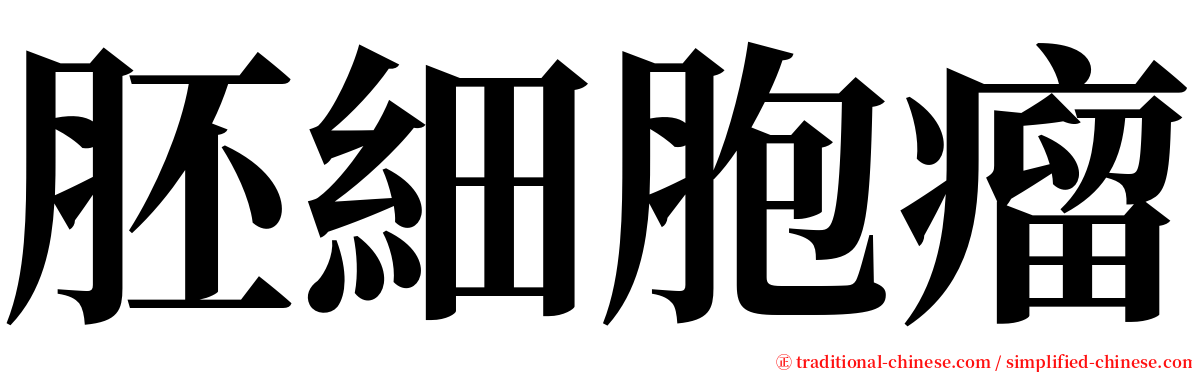 胚細胞瘤 serif font