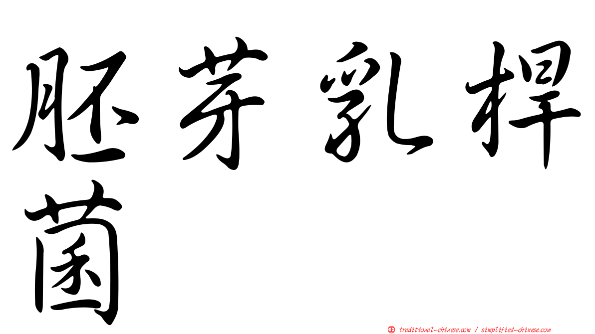 胚芽乳桿菌
