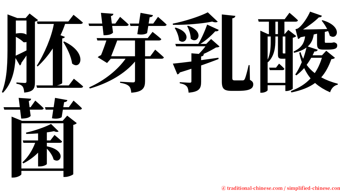 胚芽乳酸菌 serif font