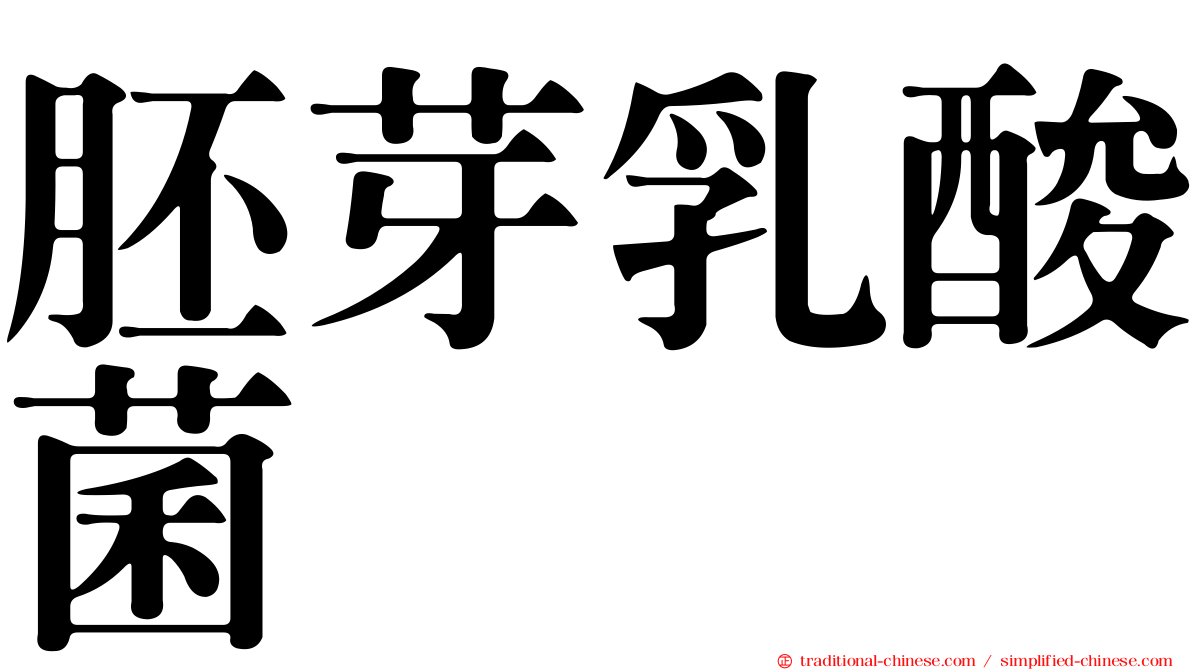 胚芽乳酸菌