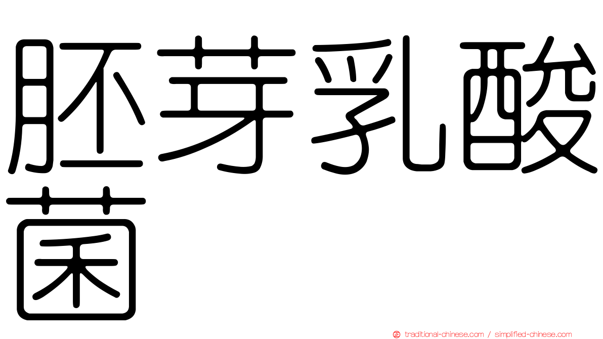 胚芽乳酸菌
