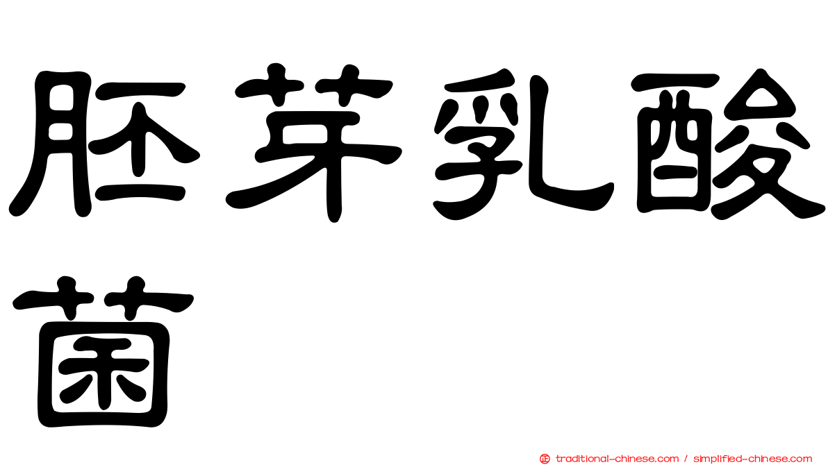 胚芽乳酸菌