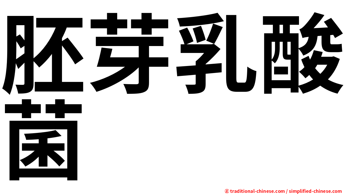 胚芽乳酸菌