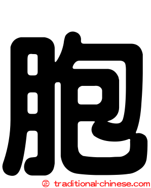 胞