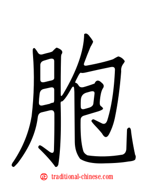 胞