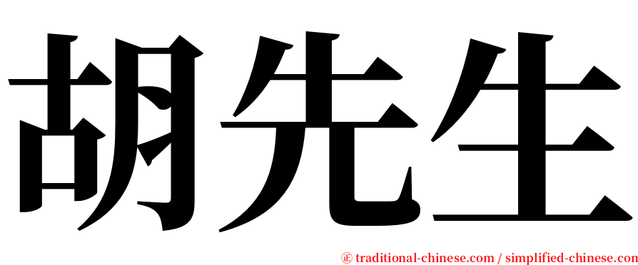 胡先生 serif font