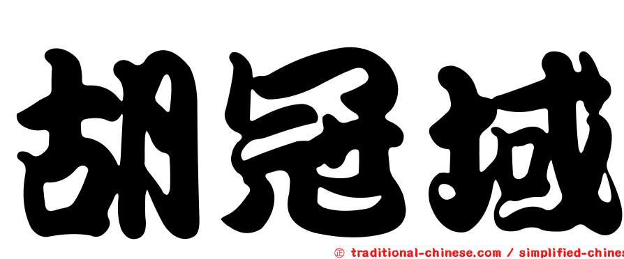胡冠域