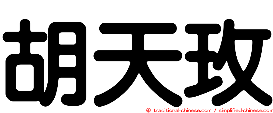 胡天玫