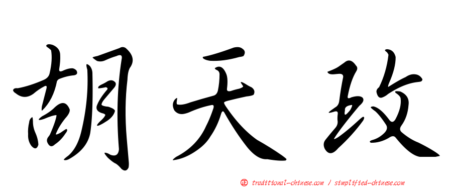 胡天玫