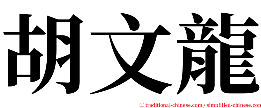 胡文龍 serif font