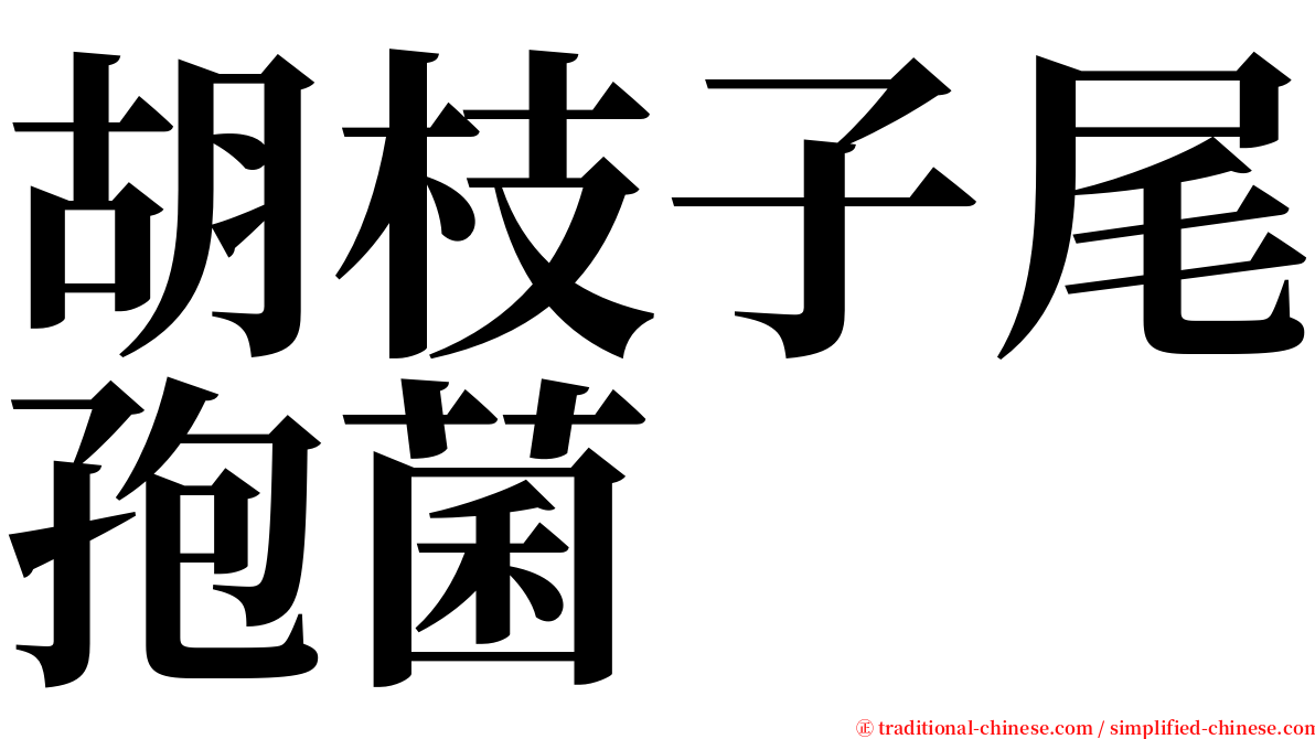 胡枝子尾孢菌 serif font