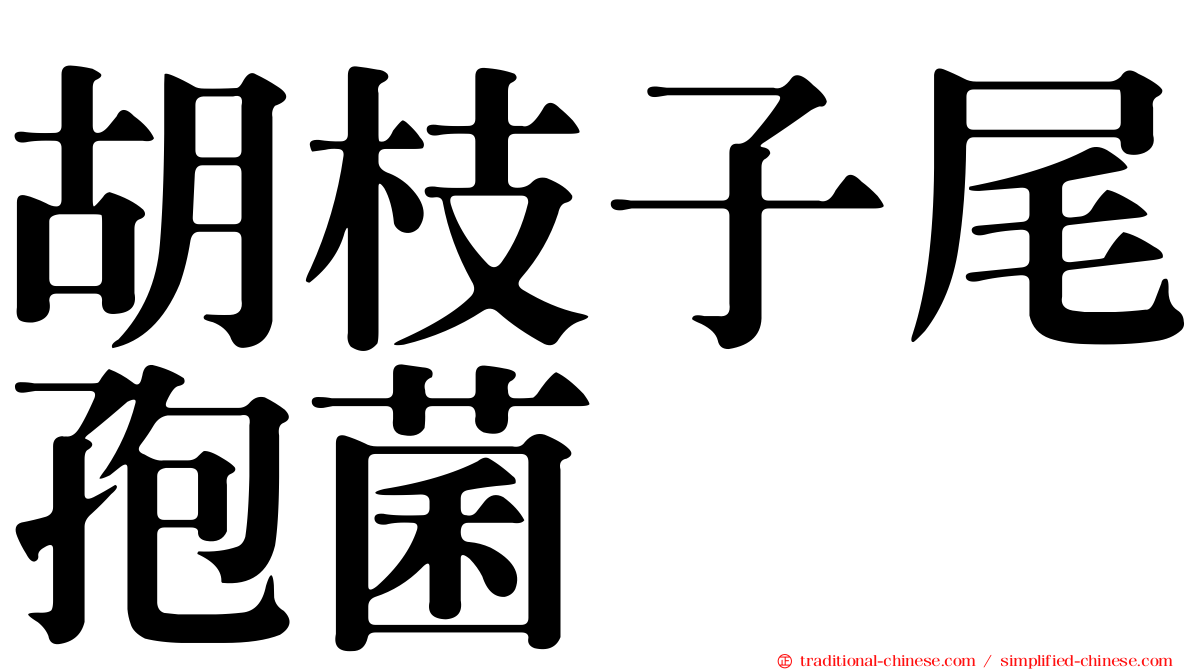 胡枝子尾孢菌