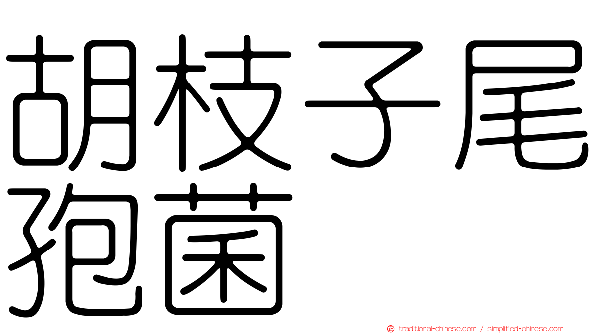 胡枝子尾孢菌