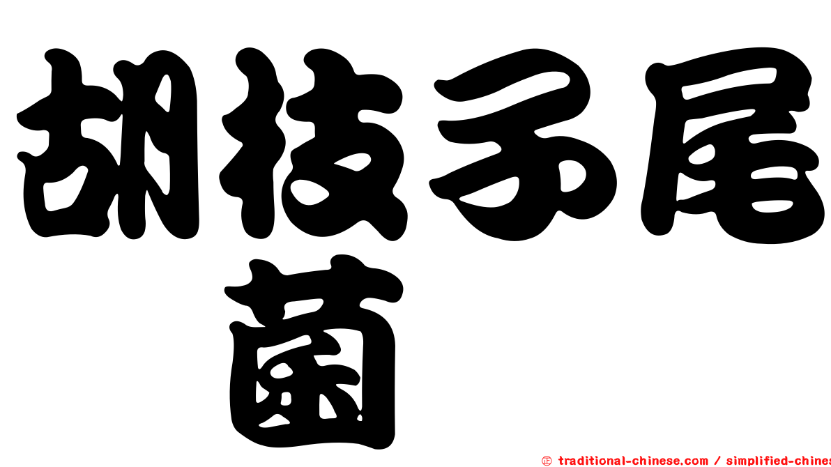胡枝子尾孢菌
