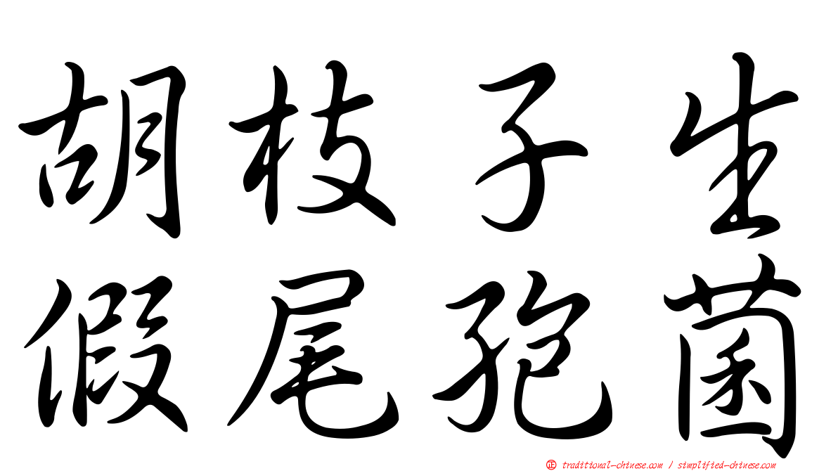 胡枝子生假尾孢菌