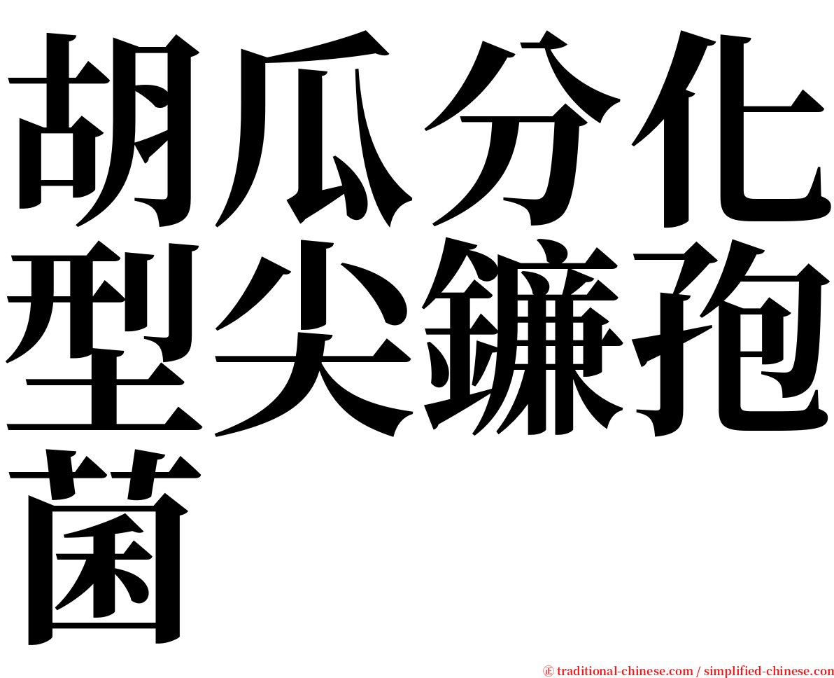 胡瓜分化型尖鐮孢菌 serif font