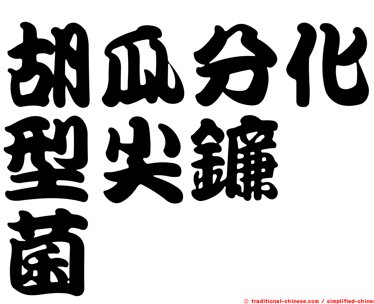 胡瓜分化型尖鐮孢菌