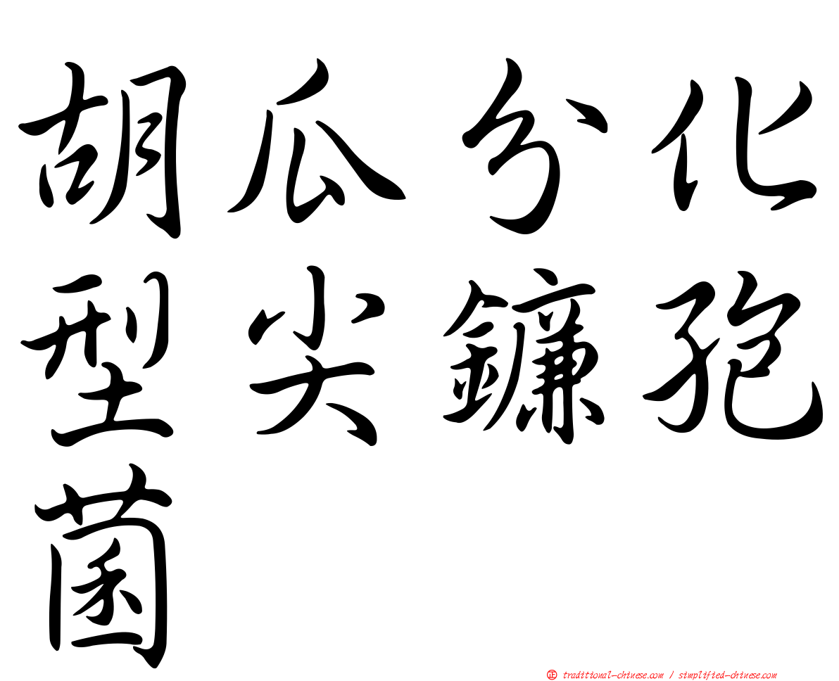 胡瓜分化型尖鐮孢菌