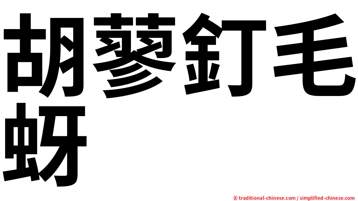 胡蓼釘毛蚜