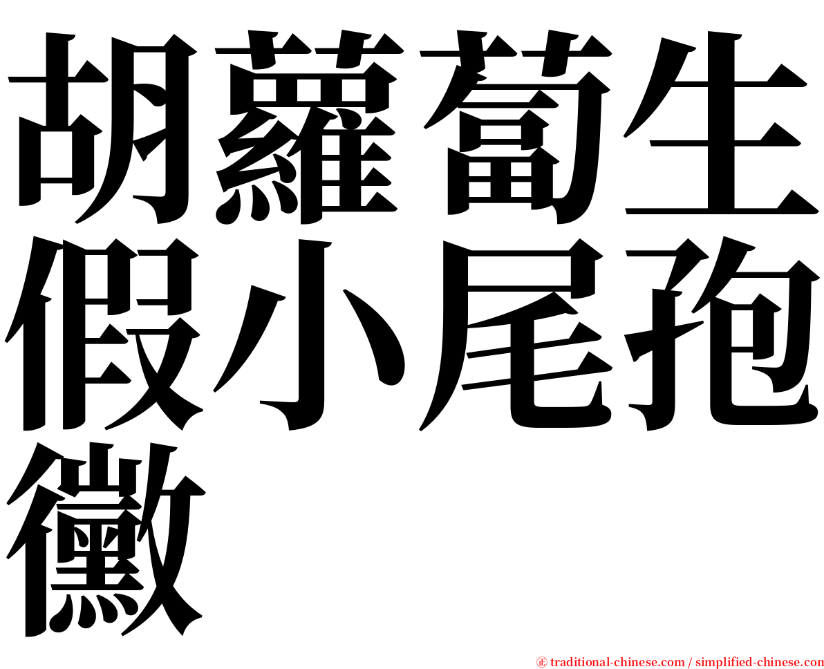 胡蘿蔔生假小尾孢黴 serif font