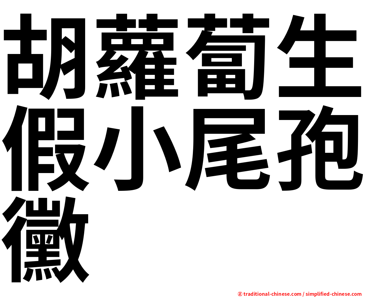 胡蘿蔔生假小尾孢黴