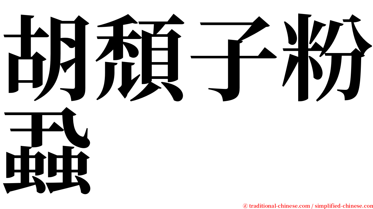 胡頹子粉蝨 serif font