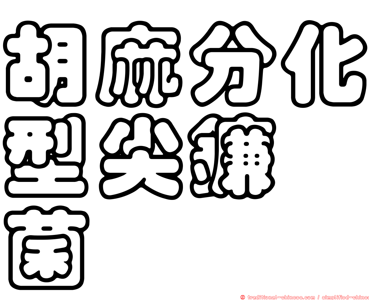 胡麻分化型尖鐮孢菌