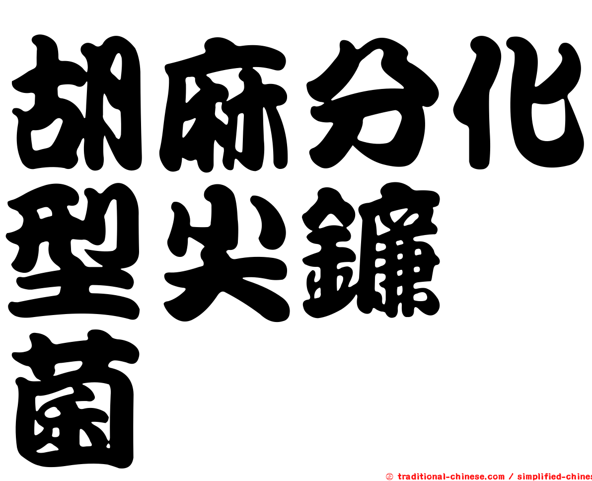 胡麻分化型尖鐮孢菌
