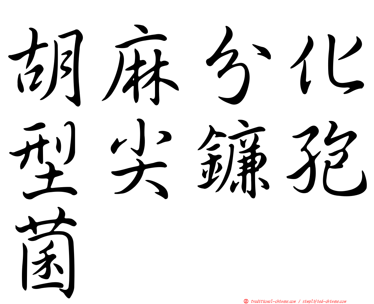 胡麻分化型尖鐮孢菌