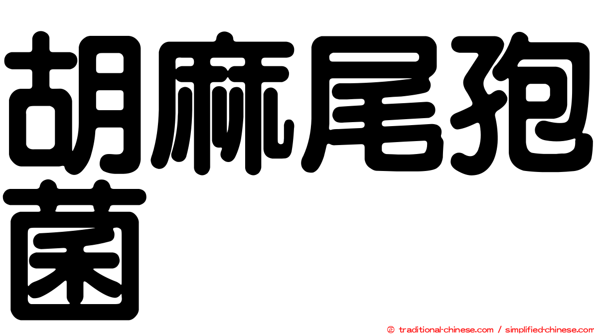 胡麻尾孢菌