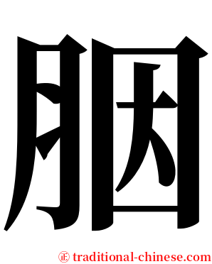 胭 serif font