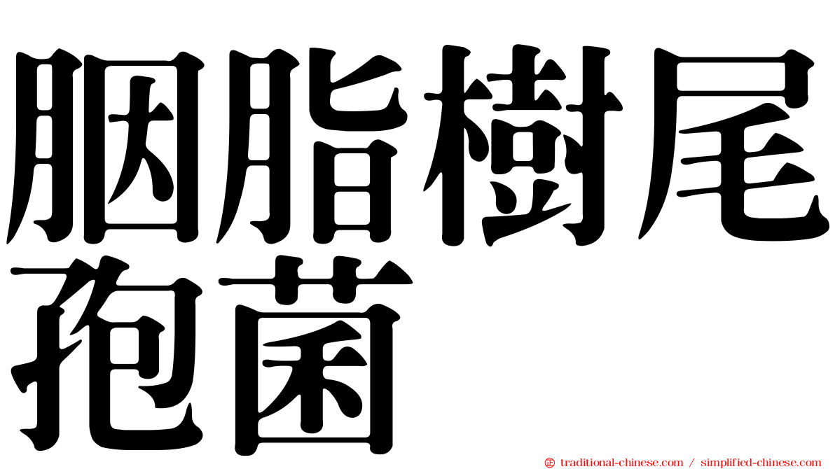 胭脂樹尾孢菌