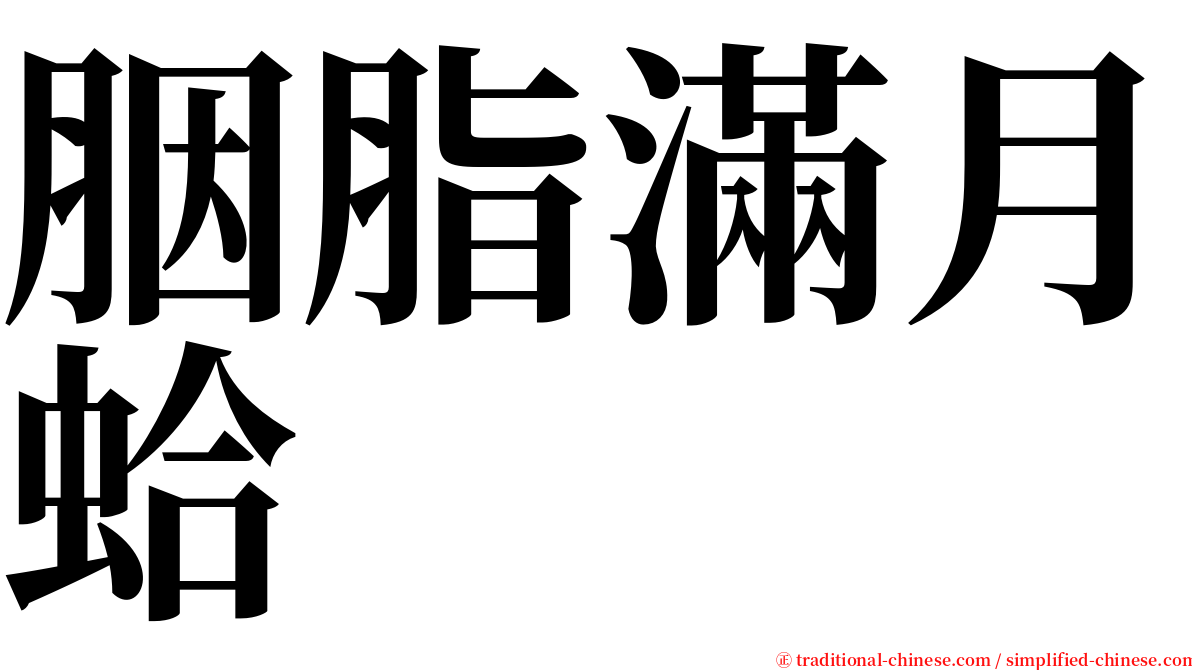 胭脂滿月蛤 serif font