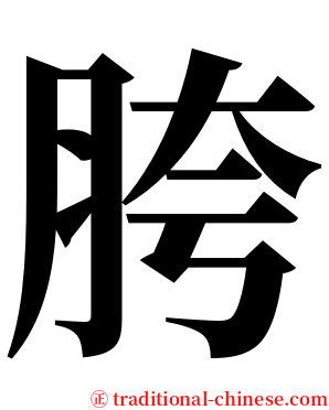 胯 serif font