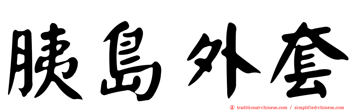 胰島外套